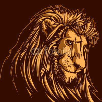 Lion Head D