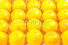 Fototapety Group of orange isolated on white