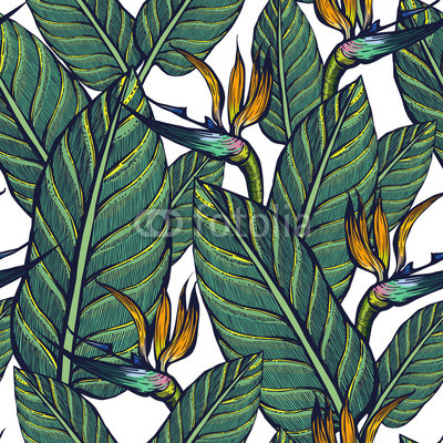 Seamless pattern of exotic plants. Strelitzia. Flowers and leaves. Background.