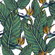 Fototapety Seamless pattern of exotic plants. Strelitzia. Flowers and leaves. Background.