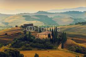 Fototapety Tuscany, Italy - San Quirico d'Orcia