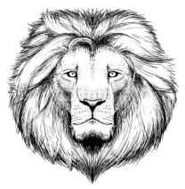 Naklejki lion head
