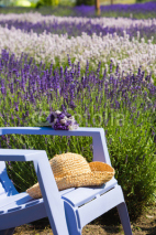 Naklejki Blue chair in a purple field of lavender