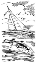 Obrazy i plakaty Dolphins and sailboat in the sea
