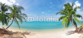 Fototapety panoramic tropical beach with coconut palm