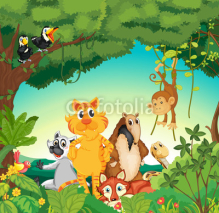 Obrazy i plakaty Animals in the forest