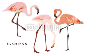 Naklejki Pink flamingo set