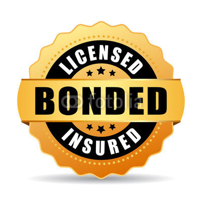 Licensed bonded insured vector icon