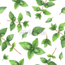 Fototapety Watercolor vector seamless pattern hand drawn herb oregano .