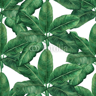 Watercolor painting coconut,banana,palm leaf,green leave seamless pattern background.Watercolor hand drawn illustration tropical exotic leaf .prints for wallpaper,textile Hawaii aloha jungle style.