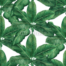 Fototapety Watercolor painting coconut,banana,palm leaf,green leave seamless pattern background.Watercolor hand drawn illustration tropical exotic leaf .prints for wallpaper,textile Hawaii aloha jungle style.