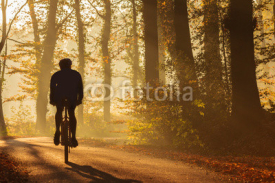 Naklejki Silhouette of a biker in fall