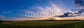 Naklejki wheat field on sunset