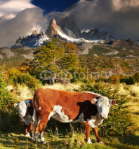Naklejki Mount Fitz Roy, Patagonia, Argentina