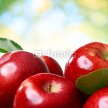 Naklejki Fresh apples
