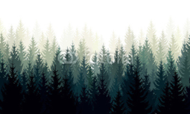 Fototapety Vector landscape with green silhouettes of coniferous trees in the mist