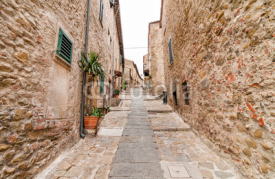 Naklejki The narrow street in the historic center of Castiglione della Pescaia, Tuscany, Italy

