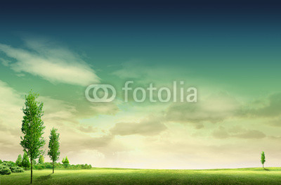field landscape with trees