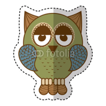 Obrazy i plakaty owl bird isolated icon vector illustration design
