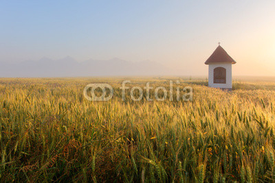 Mist on wheat field with chapel in Slovakia Tatras
