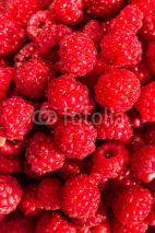Fototapety Heap of Fresh sweet raspberries close up. Raspberry fruit backgr