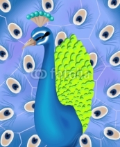 Obrazy i plakaty Dancing peacock
