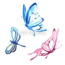 Obrazy i plakaty butterfly,watercolor design