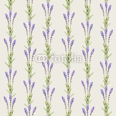 Lavender flower illustrations. Watercolor seamless pattern