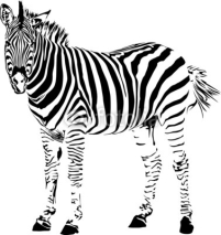 Naklejki Zebra silhouette.