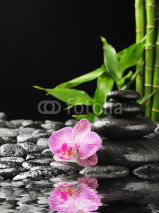 Naklejki orchid
