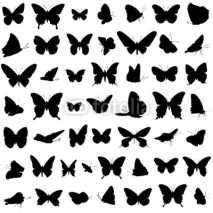 Obrazy i plakaty Schmetterlinge Vektor Set