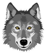 Obrazy i plakaty Wolf