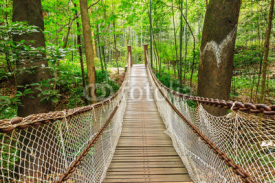 Naklejki suspension bridge in the quiet forest