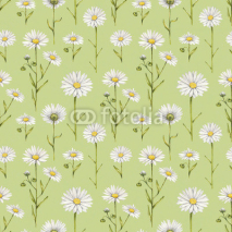 Naklejki Chamomile flowers illustration. Watercolor seamless pattern