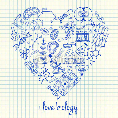 Biology drawings in heart shape