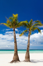 Fototapety  Idyllic tropical beach