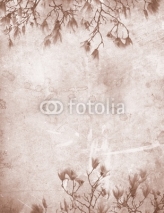 Fototapety Magnolia vintage paper