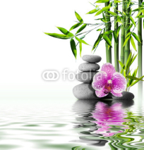 Obrazy i plakaty purple orchid flower end bamboo on water