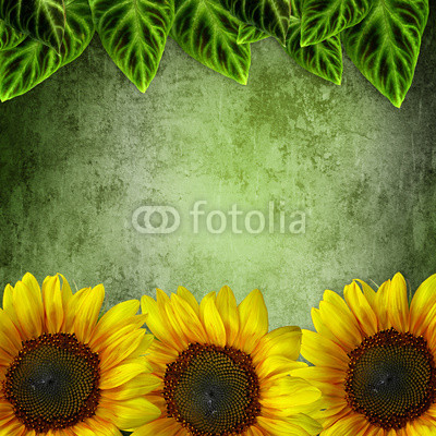 Green Leaves Frame ans Sunflowers  On grunge Green  Background