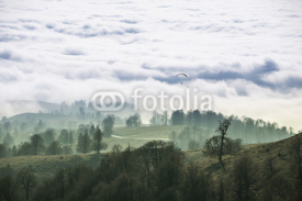 Naklejki Autumn above the clouds
