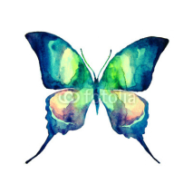 Obrazy i plakaty butterfly,watercolor design