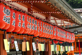 Fototapety Japanese lanterns, hanging at a shinto shrine, kyoto
