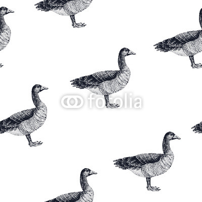 Seamless pattern ducks walking.