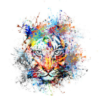 Obrazy i plakaty яркий фон с тигром