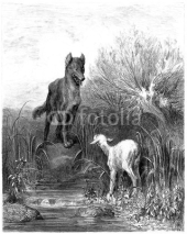Obrazy i plakaty Wolf & Sheep - Loup & Agneau