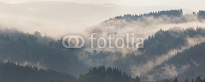 Mountain landscape shortly after rain. Clouds of fog