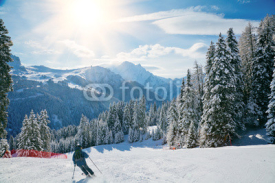 Obrazy i plakaty Ski slope