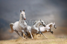 Naklejki white horses