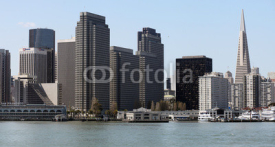 Fototapety San Francisco Skyline