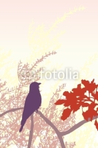 Fototapety bird in the sunset